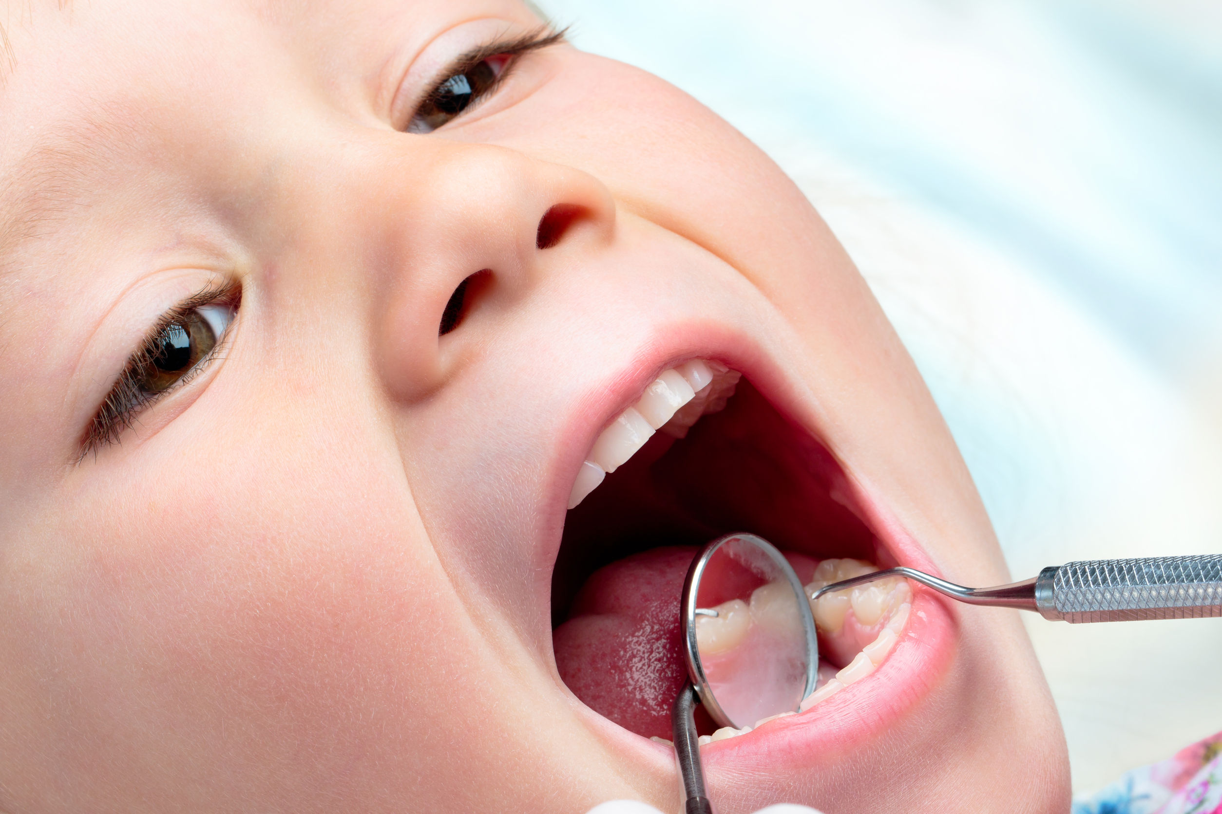 A Lifetime of Teeth